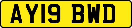 AY19BWD
