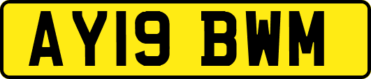AY19BWM