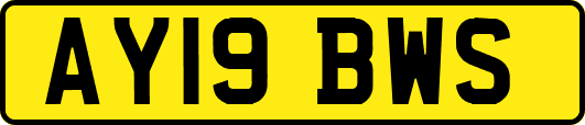 AY19BWS