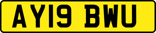 AY19BWU