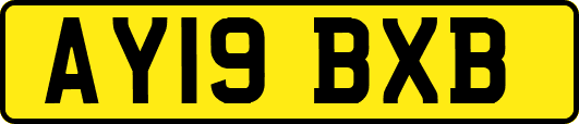 AY19BXB