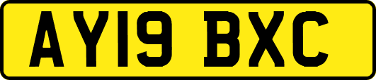 AY19BXC