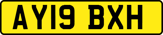 AY19BXH