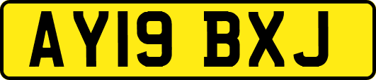 AY19BXJ