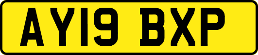 AY19BXP