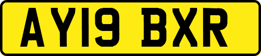 AY19BXR