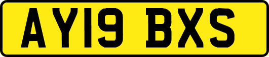 AY19BXS