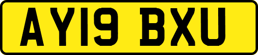 AY19BXU