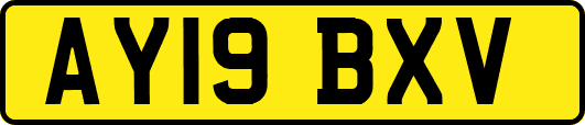 AY19BXV