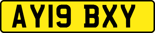 AY19BXY