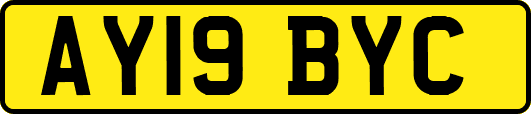 AY19BYC