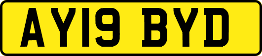 AY19BYD