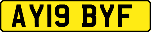 AY19BYF