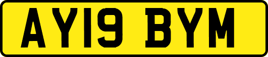 AY19BYM