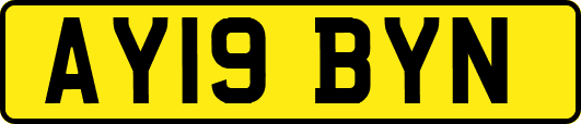 AY19BYN