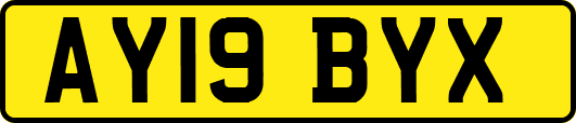 AY19BYX