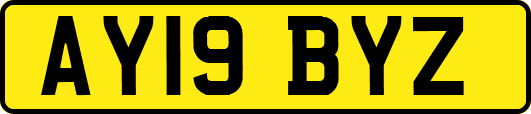 AY19BYZ
