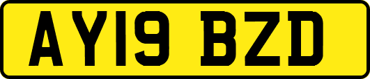 AY19BZD