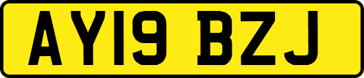 AY19BZJ