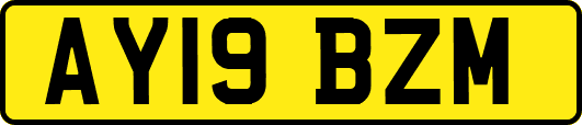AY19BZM