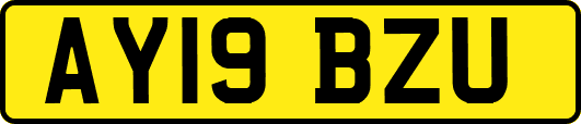 AY19BZU