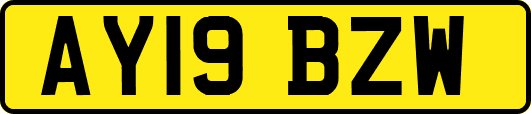 AY19BZW