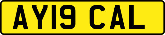 AY19CAL