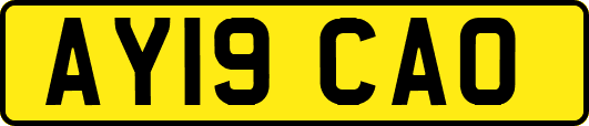 AY19CAO