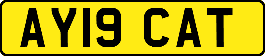 AY19CAT