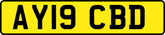 AY19CBD