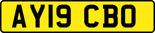 AY19CBO