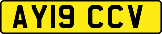 AY19CCV