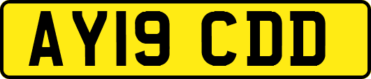 AY19CDD