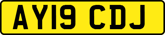 AY19CDJ