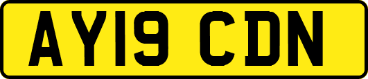 AY19CDN