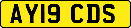AY19CDS