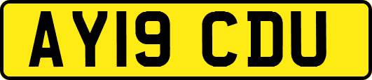 AY19CDU