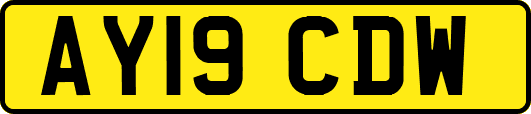 AY19CDW
