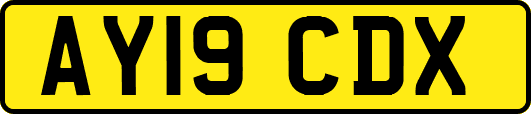 AY19CDX