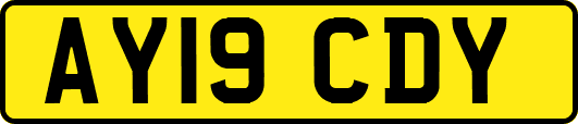 AY19CDY