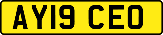 AY19CEO