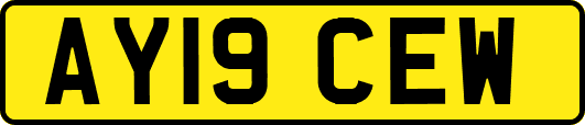 AY19CEW