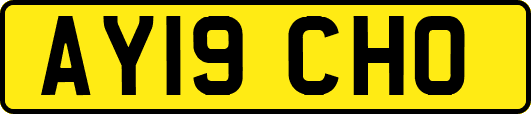 AY19CHO
