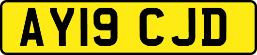 AY19CJD