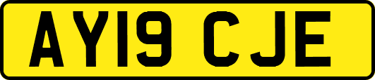 AY19CJE