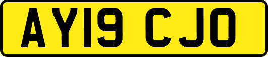 AY19CJO