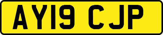 AY19CJP