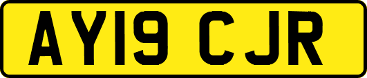 AY19CJR