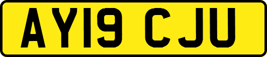 AY19CJU