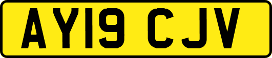 AY19CJV